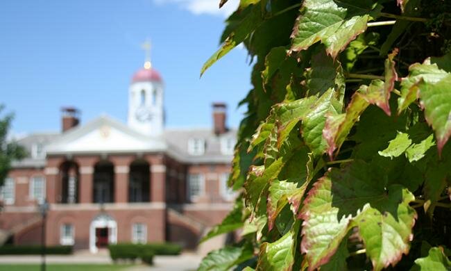 Лига плюща Лига плюща